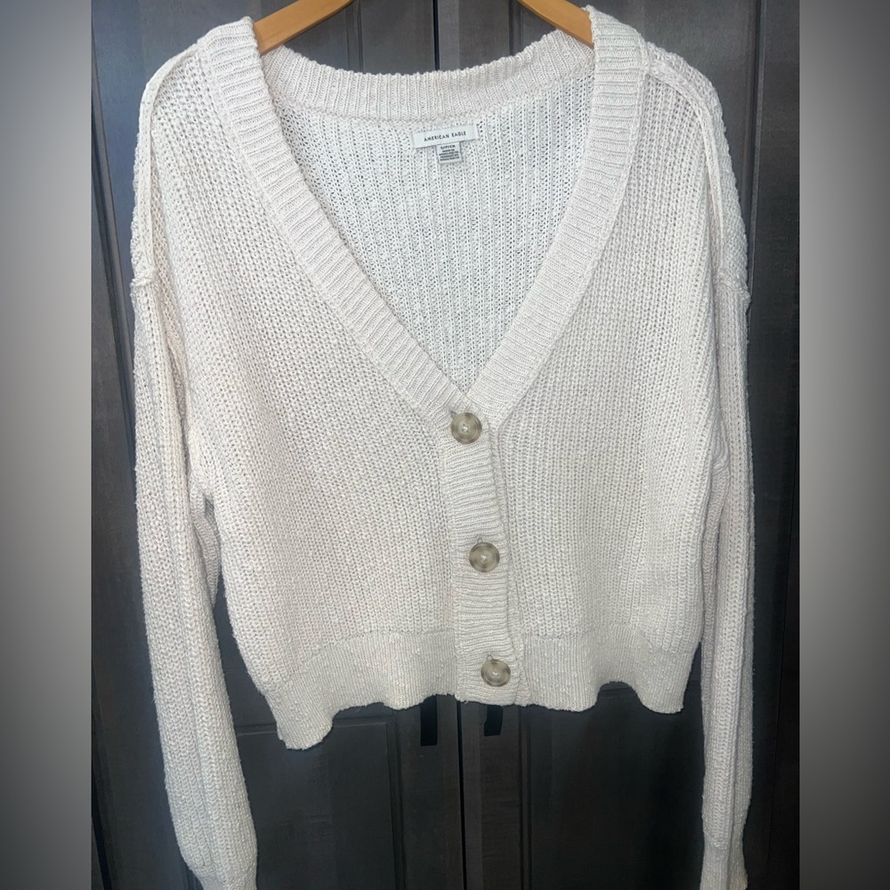 American Eagle Cardigan